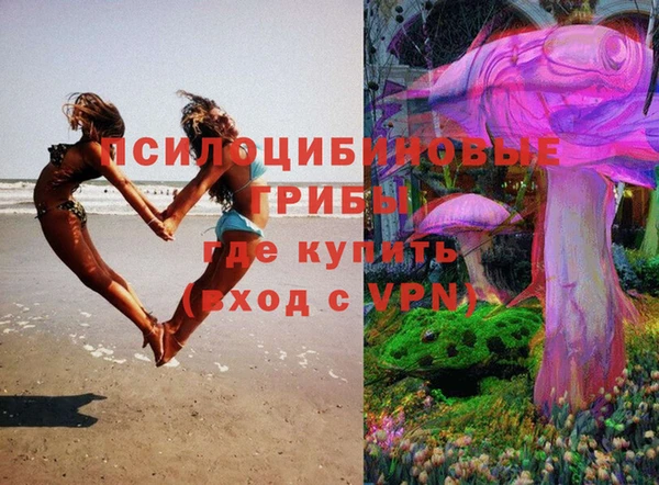 винт Абаза
