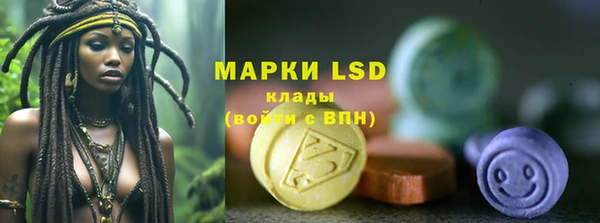 винт Абаза