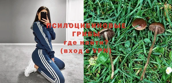 винт Абаза
