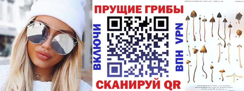 Галлюциногенные грибы Psilocybe  Иннополис 